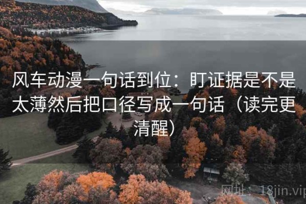 风车动漫一句话到位：盯证据是不是太薄然后把口径写成一句话（读完更清醒）
